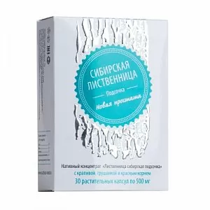 Лиственница сибирская подсочка с крапивой, грушанкой и красным корнем